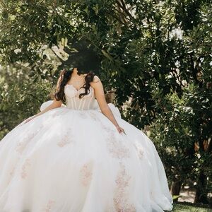 Elegant White Ball Gown Dress with Blush Embroidery